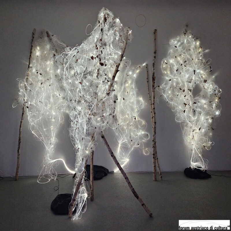 BIRCHES & LIGHT auf der BID – Biennale Internazionale Donna Triest