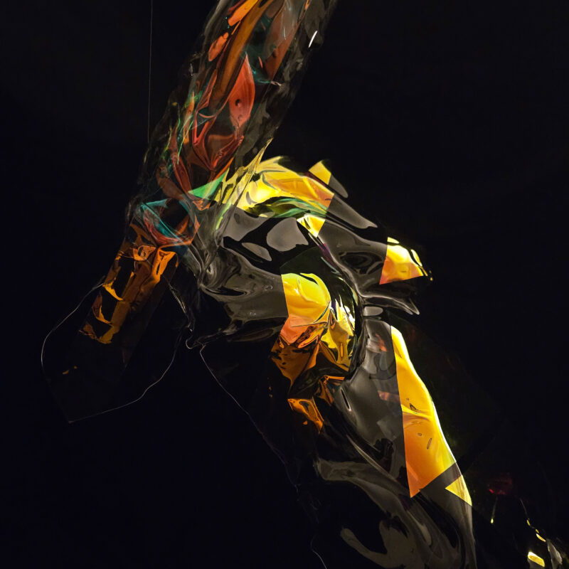 BODY of LIGHT